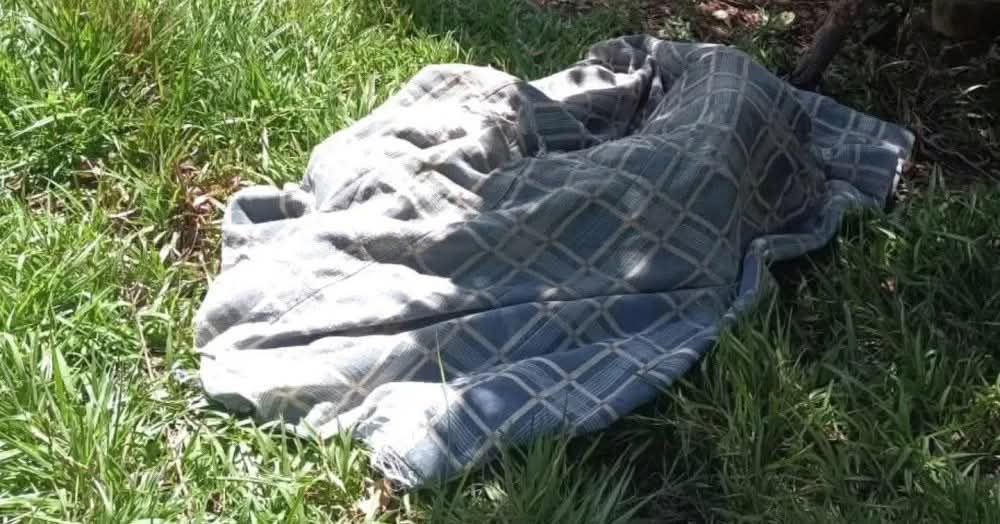 Companheira é presa após morte de idoso a machadadas no Norte do Estado