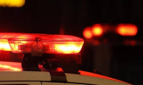 Perturbação por latidos de cães é registrada em bairro de São Borja