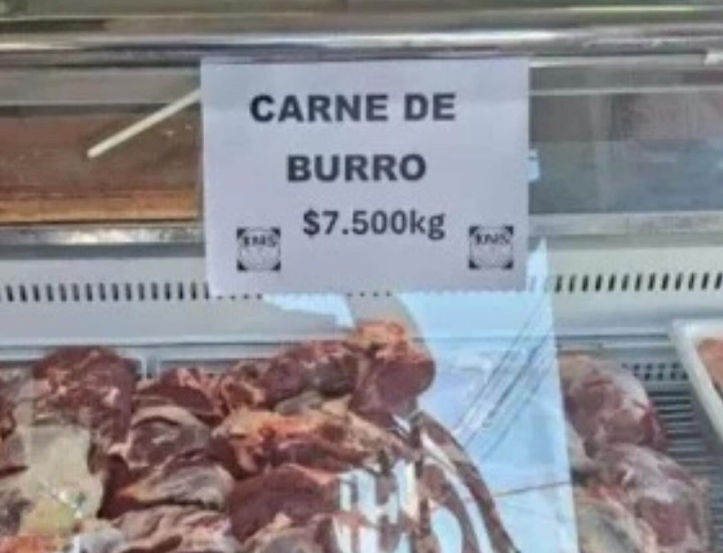 Venda de carne de burro dispara e revela mudança no consumo argentino