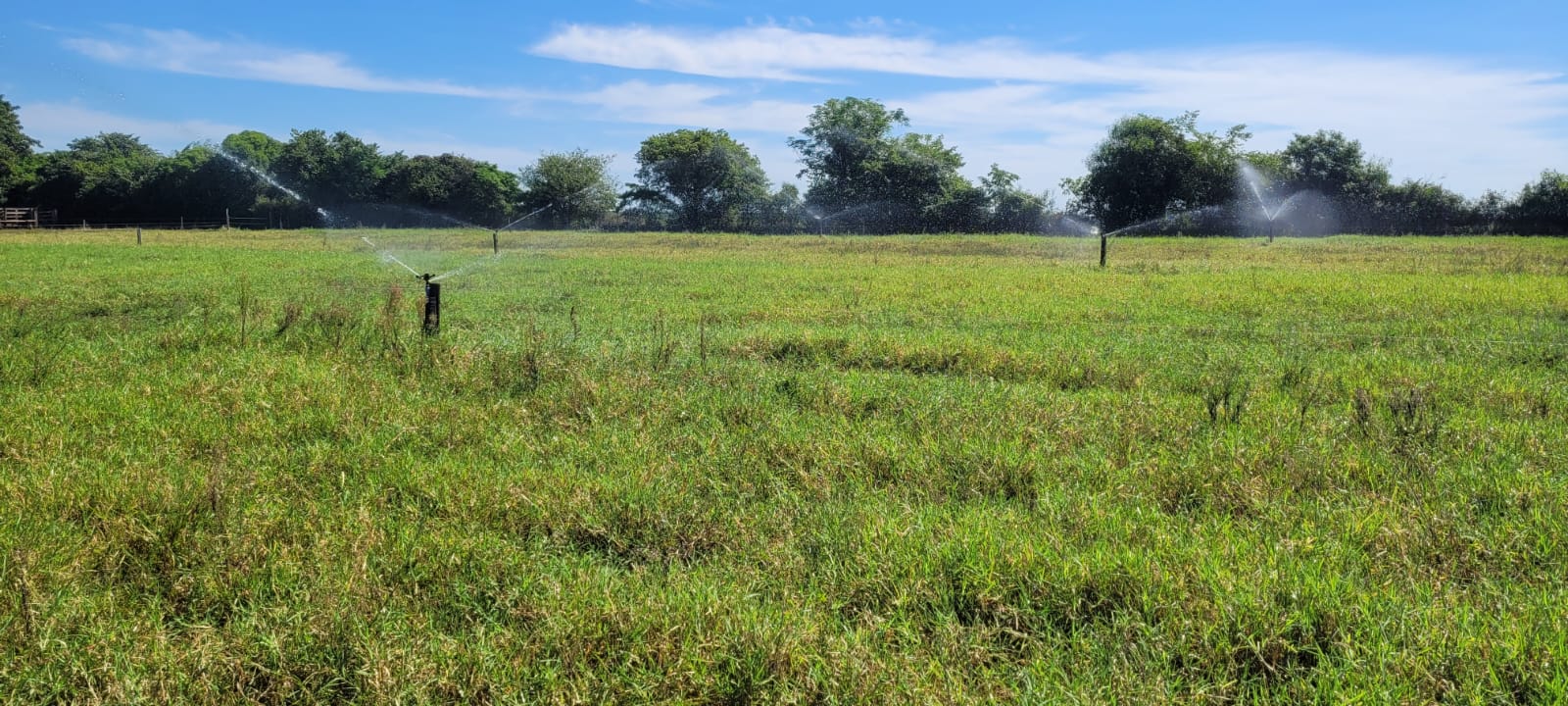 Dia de Campo reúne produtores em São Borja nesta sexta-feira