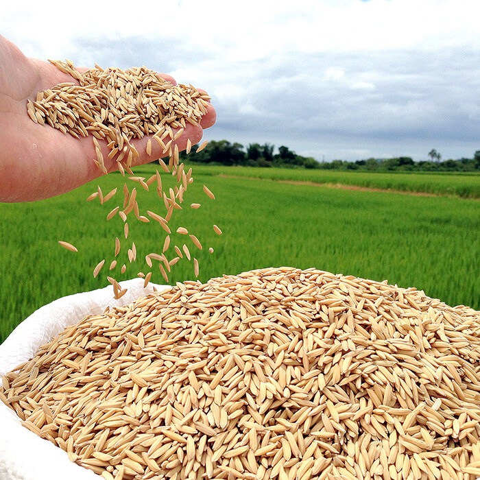 Governo gaúcho volta a defender em Brasília o projeto de lei sobre renegociação das dívidas de produtores rurais