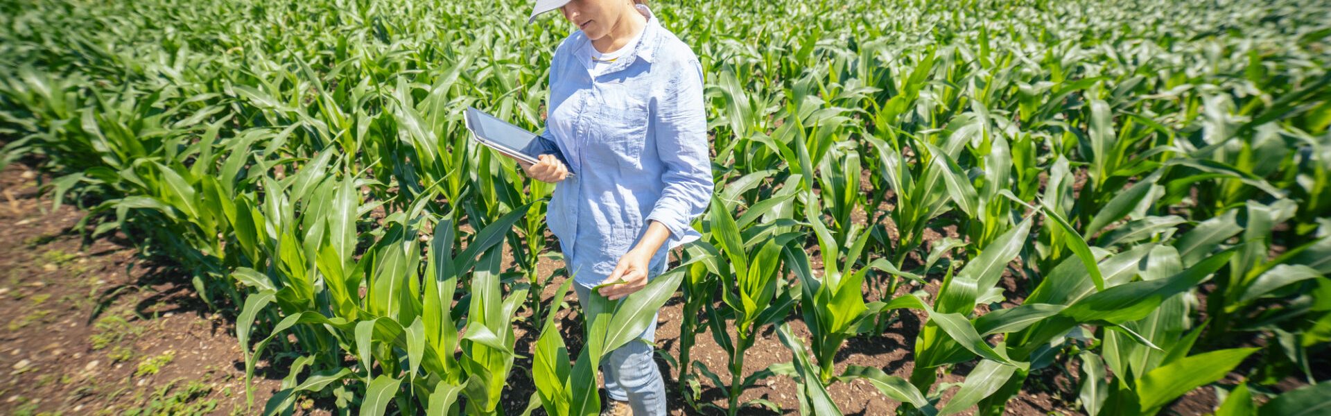 Encontro da Mulher Rural será realizado nesta quinta-feira em São Borja