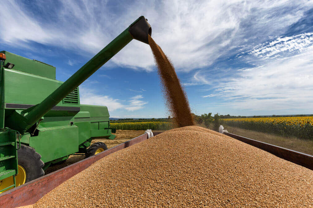 Comissão de Assuntos Econômicos do Senado aprova projeto que permite renegociação de dívidas de produtores rurais