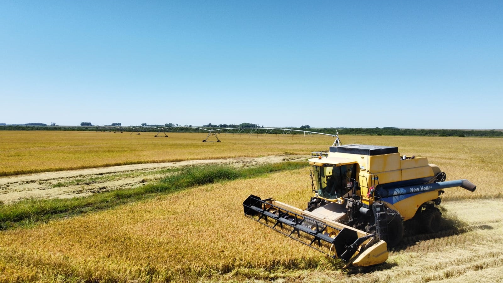 Colheita do arroz é concluída em São Borja