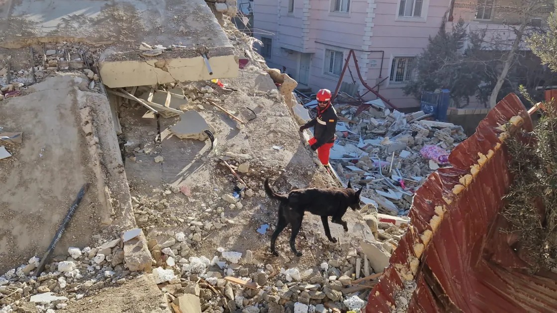 Sobe para 589 o número de mortos após terremotos na Venezuela