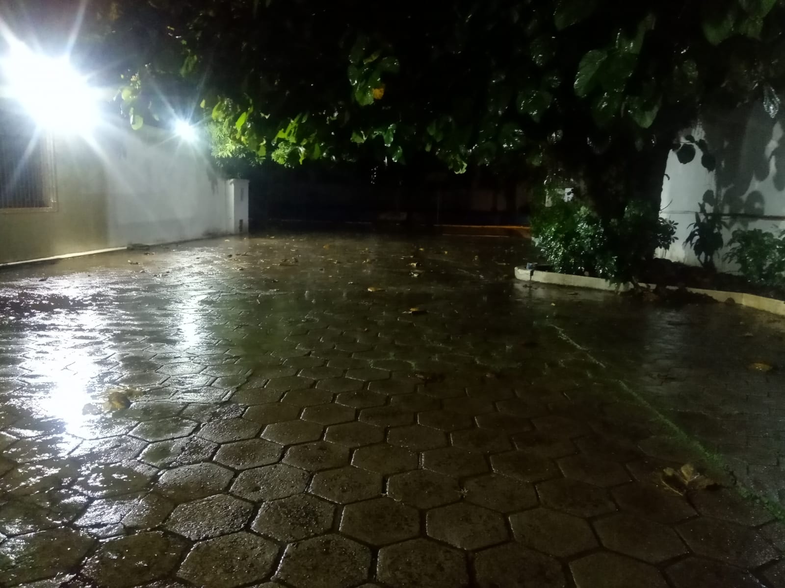Chuva persiste em São Borja e Rio Uruguai segue em nível considerado normal