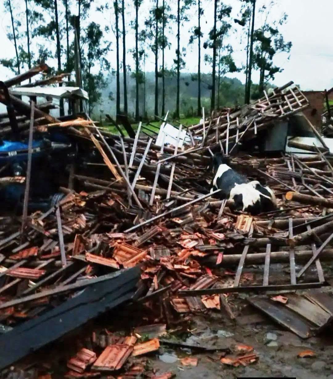 Vendaval provoca destruição em Três Passos e Crissiumal e deixa prejuízos no campo