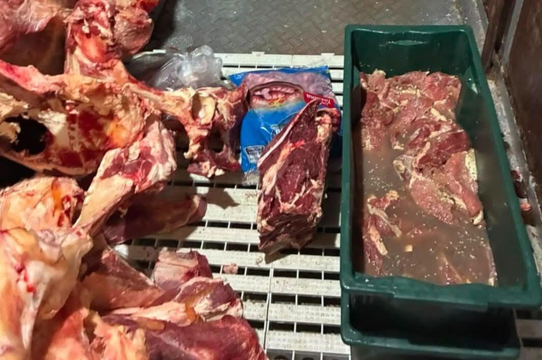 Operação apreende cerca de 500 quilos de carne imprópria para consumo em ação contra abigeato em Pelotas