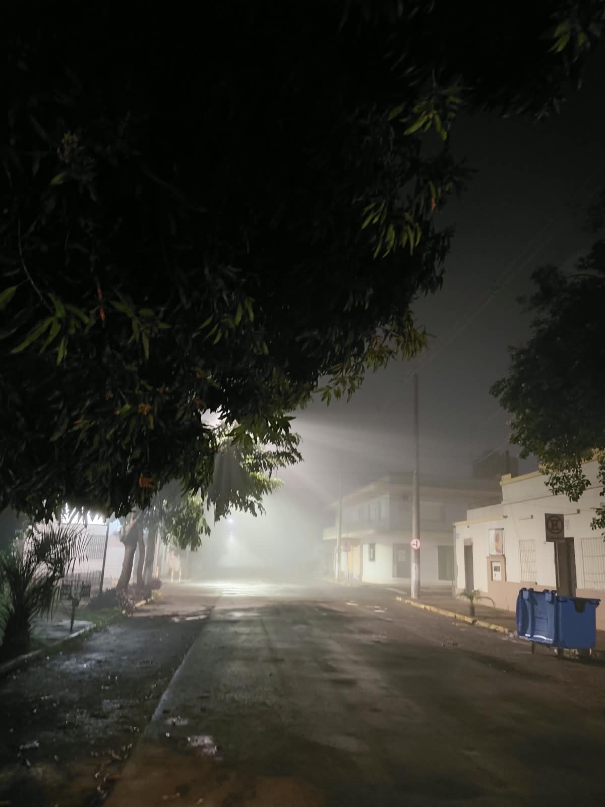 Neblina reduz visibilidade e cavalos soltos preocupam motoristas no Bairro Passo em São Borja