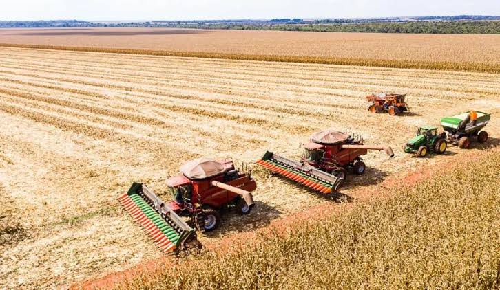 Emater projeta aumento de 8,6% na safra de grãos do RS