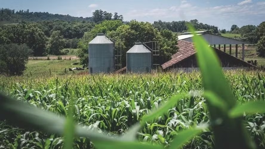 Entidades do agro pedem ajustes nas regras para renegociação de dívidas rurais