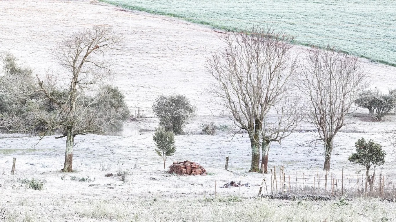 Rio Grande do Sul registra quarto dia seguido de temperaturas abaixo de zero