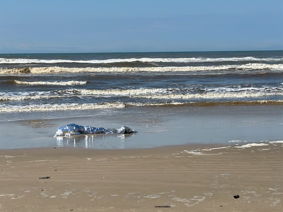 Homem é encontrado morto após ataque de pitbulls em praia de Arroio do Sal