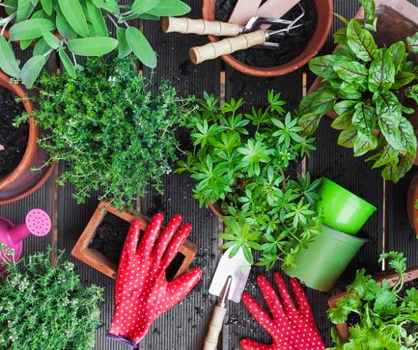 Curso de Jardinagem será realizado em setembro em São Borja