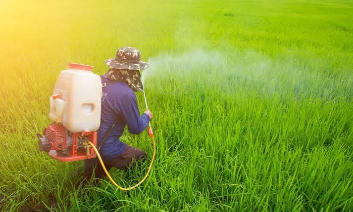 Sindicato Rural e Senar-RS promovem curso gratuito sobre defensivos agrícolas