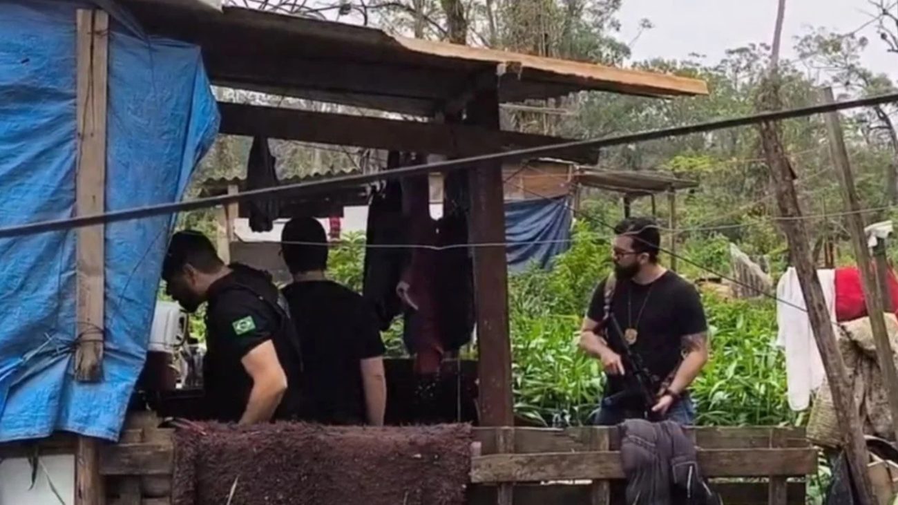 Menina de 2 anos morre após ser agredida com golpes de martelo pelo irmão em  Praia Grande