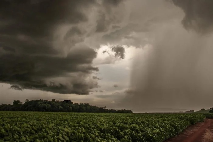 ONU alerta para El Niño intenso e risco de chuvas extremas no Rio Grande do Sul